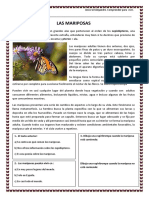 Informativo La Mariposa