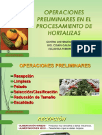Métodos para Pelado de Hortalizas PDF