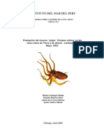 Inf. Eval. Pulpo 2003 PDF