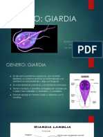 Expo de Giardia