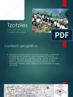 Tzotziles