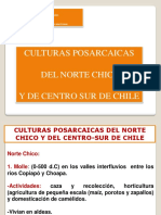 7° Culturas Chilenas Precolombinas