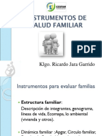 Instrumentos de Salud Familiar 2010