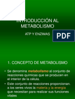 Introduccion Al Metabolismo