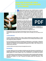 ALIMENTACION-0A6MESES (1).pdf