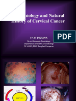 Natural History of Cervical Cancer