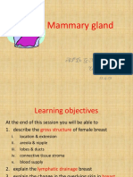 Mammary Gland Structure and Development