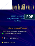 STRUKTUR REPRODUKTIF WANITA.ppt