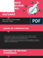 Tipos de vacunas y mecanismos para adquirir inmunidad