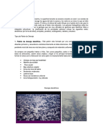 5581866-PATRONES-DE-DRENAJE.doc