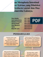 Gastritis Dan Metaplasia Intestinal Pada Hamster Syirian Yang Diinfeksi Dengan Helicobacter Aurati Dan Dua Mikroaeroba Lainnya