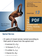 The Peripheral Nervous System and Reflex Activity: Part C: Prepared by Janice Meeking, Mount Royal College
