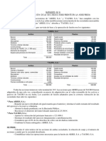 Supuesto 09 - Participación Absorbente-Absorbida PDF