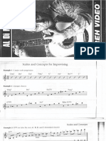 Al Di Meola - REH Instruction Video Booklet.pdf