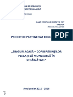 Proiect Judetean SINGURI ACASA Site PDF
