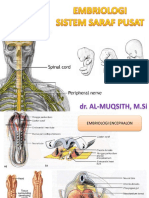 Embriologi SSP