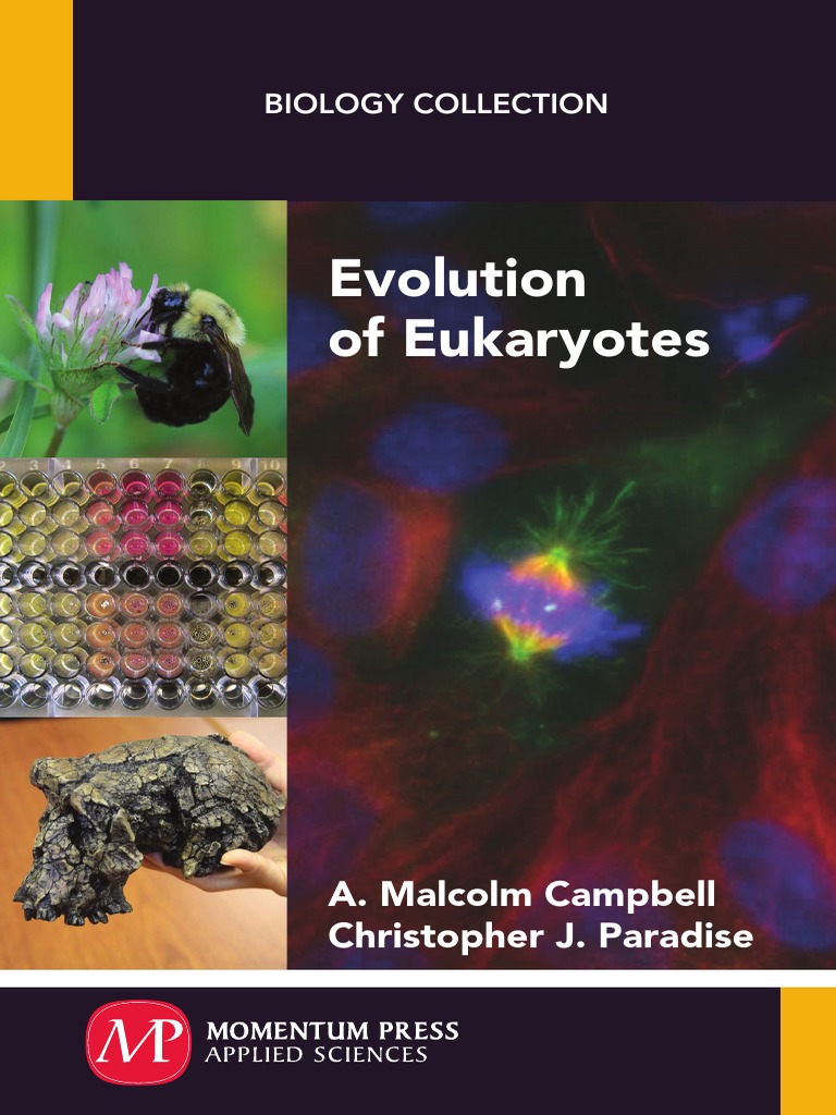 Evolution of Eukaryotes | PDF | Eukaryotes | Gene