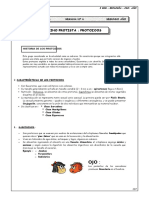 Características y clases de los protozoos