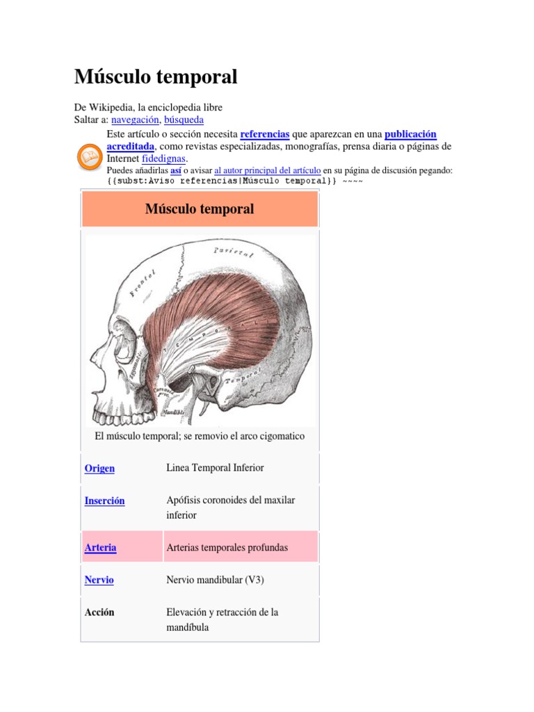 Anatomía y Función del Músculo Temporal | PDF | Tejido suave | Anatomía ...