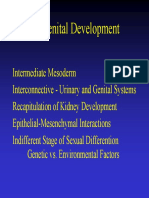 17 urogenital.pdf