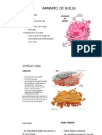 Aparato de Golgi, Estructura y Funciones