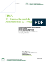 334623377-Tema-11-pdf.pdf