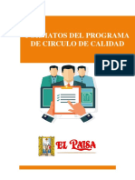 Formatos e Instructivos PCC PDF