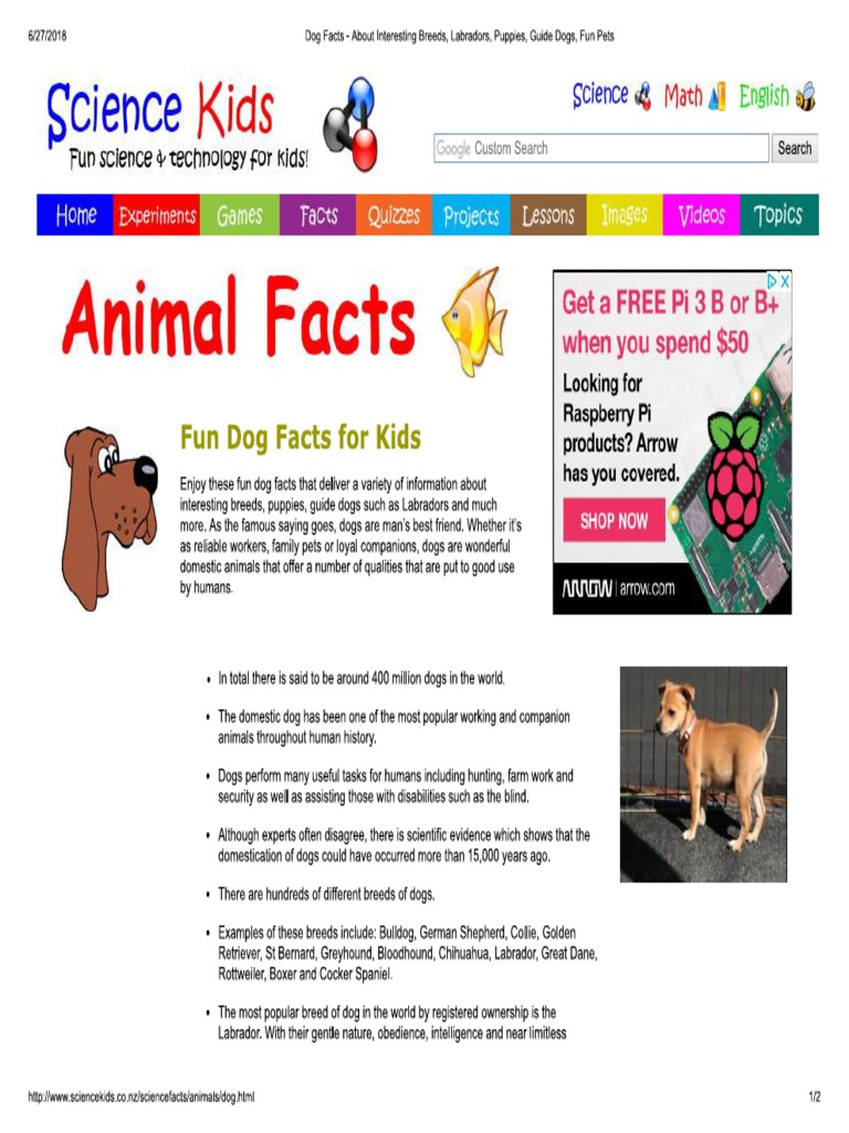 facts about dogs for kids