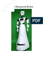 Dbot Humanoid Robot