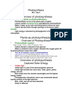 Ch 6 Photosynthesis.doc