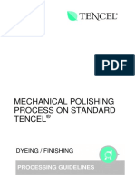 Mechanical Polishing Process