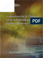 publico y privado.pdf
