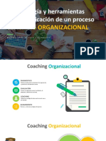 Alineamiento Organizacional PDF