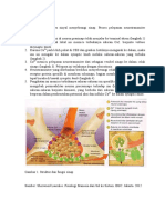 Proses Neurotransmiter