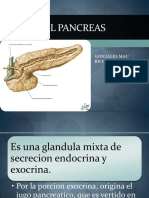 Anatomia e Histologia Pancrea.-ricHARD
