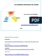 Archaea