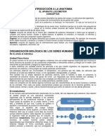 Introducción a la anatomía del sistema osteo-artro-muscular