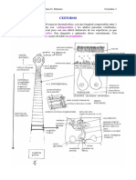 465-2013-08-22-C5 CESTODOS.pdf