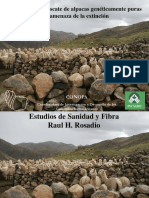 Sanidad