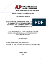 Proyecto - Evaluación de Criterios de Amsel - 2018 - Mirima - Jove