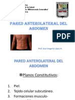 Pared abdominal anterolateral