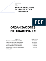 Organizaciones Internacionales