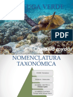 Exposición de Fauna1