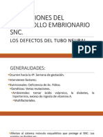 Alteraciones Del Desarrollo Embrionario Snc