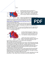 About The Heart and Blood Vessels Anatomy and Function of The Heart Valves