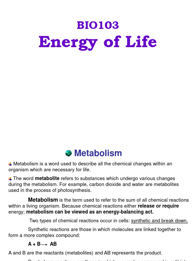 Metabolism and Energy in Organisms | PDF | Cellular Respiration ...