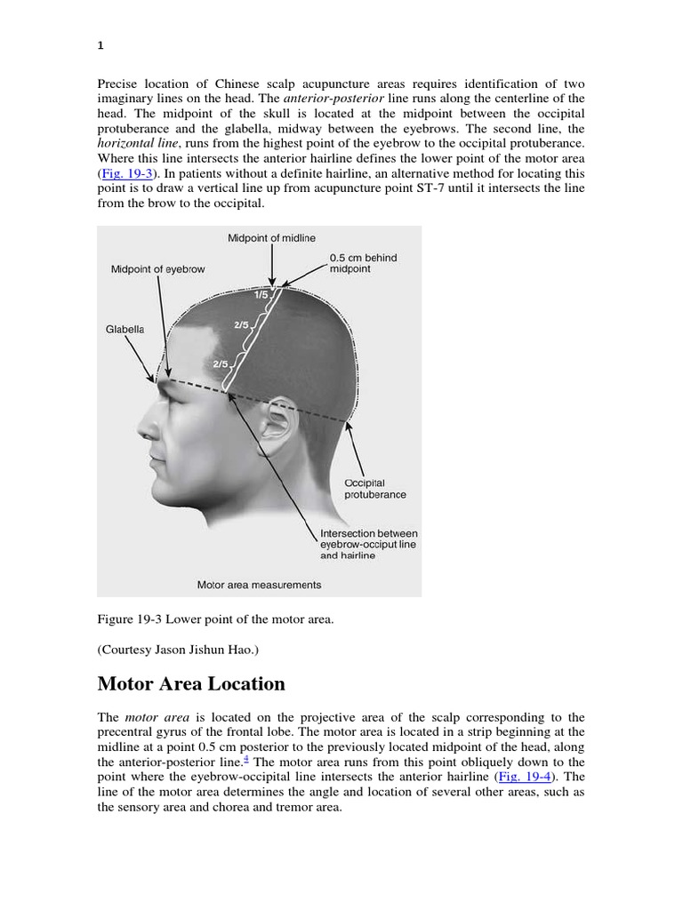 Precise Location of Chinese Scalp Acupuncture Areas Requires