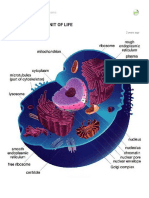 Cytology Full Notes Ncert