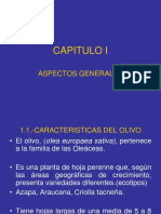 TOYE-CAPITULO I.A (1).ppt