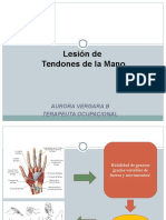 Clase Lesion Tendones para Alumnos